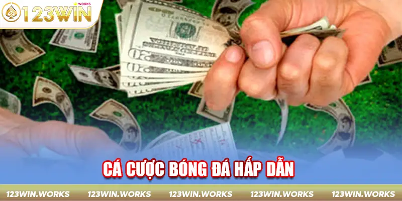 Cá cược bóng đá hấp dẫn 