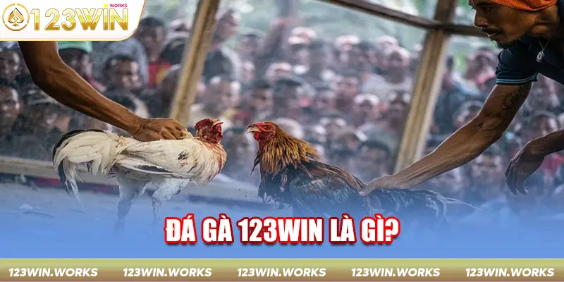 Đá gà 123WIN là gì? 