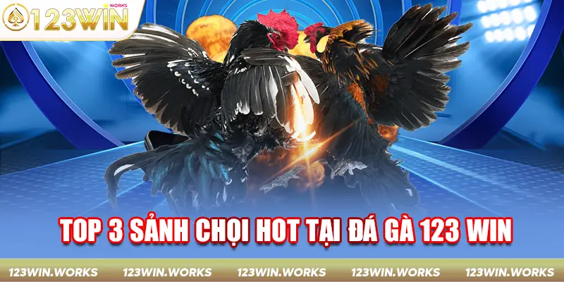 TOP 3 sảnh chọi hot tại đá gà 123 WIN